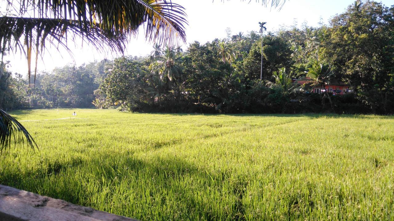 Villa Paddy Fields View Mirissa Eksteriør bilde